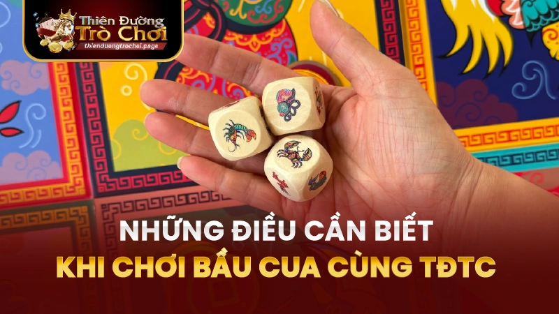 Những điều cần biết khi chơi bầu cua TĐTC