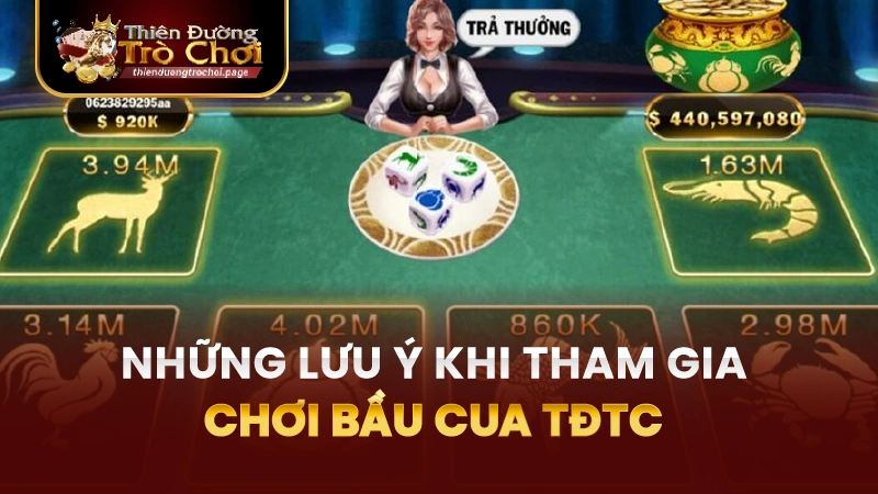 Lưu ý khi tham gia bầu cua TĐTC